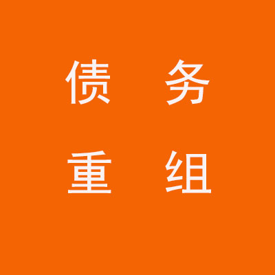 王五镇个人债务重组优化